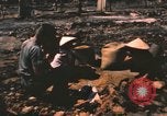 Standbild verbrannte Fläche Song Mao Vietnam, 1962, aus Sekunde 53 historischem Filmmaterial Videoclip 65675075388