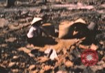 Standbild verbrannte Fläche Song Mao Vietnam, 1962, aus Sekunde 57 historischem Filmmaterial Videoclip 65675075388