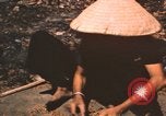 Standbild verbrannte Fläche Song Mao Vietnam, 1962, aus Sekunde 58 historischem Filmmaterial Videoclip 65675075388