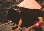 Standbild verbrannte Fläche Song Mao Vietnam, 1962, aus Sekunde 59 historischem Filmmaterial Videoclip 65675075388