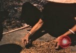 Standbild verbrannte Fläche Song Mao Vietnam, 1962, aus Sekunde 61 historischem Filmmaterial Videoclip 65675075388