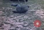 Image of United States trainees Vietnam, 1962, second 26 stock footage video 65675075390