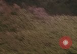 Immagine di Operazione mano Ranch Il Vietnam, 1967, secondo 30 filmato di repertorio 65675075397
