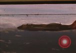 Image of B-17 Canberra bomber Vietnam, 1967, second 1 stock footage video 65675075402