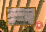 Image of B-17 Canberra bombers Vietnam, 1967, second 5 stock footage video 65675075404