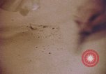 Image of blood stained clothing United States USA, 1969, second 16 stock footage video 65675075429