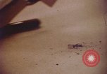 Image of blood stained clothing United States USA, 1969, second 18 stock footage video 65675075429