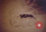 Image of blood stained clothing United States USA, 1969, second 19 stock footage video 65675075429