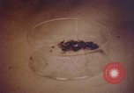 Image of blood stained clothing United States USA, 1969, second 20 stock footage video 65675075429