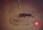 Image of blood stained clothing United States USA, 1969, second 21 stock footage video 65675075429