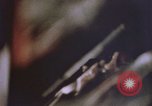 Image of ballistics analysis by FBI Washington DC USA, 1969, second 37 stock footage video 65675075430
