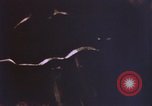 Image of FBI crime and ballistics laboratory United States USA, 1969, second 5 stock footage video 65675075431