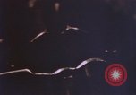 Image of FBI crime and ballistics laboratory United States USA, 1969, second 6 stock footage video 65675075431
