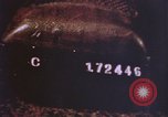 Image of FBI crime and ballistics laboratory United States USA, 1969, second 11 stock footage video 65675075431