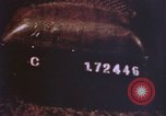 Image of FBI crime and ballistics laboratory United States USA, 1969, second 14 stock footage video 65675075431