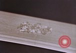 Image of FBI crime and ballistics laboratory United States USA, 1969, second 24 stock footage video 65675075431
