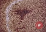 Image of laboratory United States USA, 1969, second 31 stock footage video 65675075432