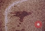 Image of laboratory United States USA, 1969, second 32 stock footage video 65675075432