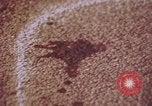 Image of laboratory United States USA, 1969, second 33 stock footage video 65675075432
