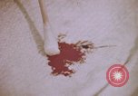 Image of laboratory United States USA, 1969, second 57 stock footage video 65675075432