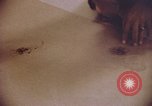Image of evidence United States USA, 1969, second 11 stock footage video 65675075433