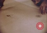 Image of evidence United States USA, 1969, second 12 stock footage video 65675075433