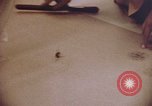 Image of evidence United States USA, 1969, second 13 stock footage video 65675075433