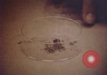 Image of evidence United States USA, 1969, second 21 stock footage video 65675075433