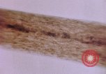 Image of evidence United States USA, 1969, second 42 stock footage video 65675075433