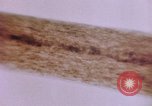 Image of evidence United States USA, 1969, second 43 stock footage video 65675075433