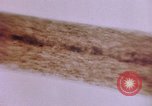 Image of evidence United States USA, 1969, second 44 stock footage video 65675075433