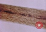 Image of evidence United States USA, 1969, second 45 stock footage video 65675075433