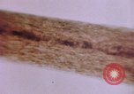 Image of evidence United States USA, 1969, second 46 stock footage video 65675075433