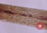 Image of evidence United States USA, 1969, second 47 stock footage video 65675075433