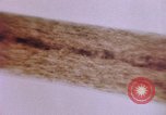 Image of evidence United States USA, 1969, second 48 stock footage video 65675075433