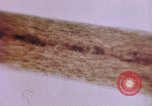 Image of evidence United States USA, 1969, second 49 stock footage video 65675075433