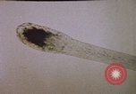 Image of evidence United States USA, 1969, second 61 stock footage video 65675075433