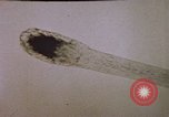 Image of evidence United States USA, 1969, second 62 stock footage video 65675075433
