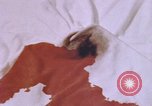 Image of crime laboratory analyst United States USA, 1969, second 7 stock footage video 65675075434