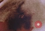 Image of crime laboratory analyst United States USA, 1969, second 10 stock footage video 65675075434