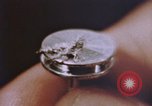 Image of crime laboratory analyst United States USA, 1969, second 15 stock footage video 65675075434