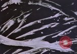 Image of crime laboratory analyst United States USA, 1969, second 39 stock footage video 65675075434