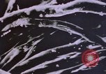 Image of crime laboratory analyst United States USA, 1969, second 41 stock footage video 65675075434