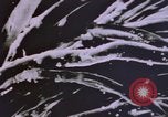 Image of crime laboratory analyst United States USA, 1969, second 43 stock footage video 65675075434