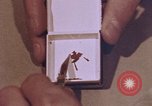 Image of analysts United States USA, 1969, second 19 stock footage video 65675075436