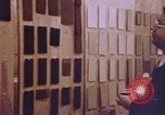 Image of analysts United States USA, 1969, second 43 stock footage video 65675075436