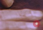 Image dactylotechnicien United States USA, 1969, de la seconde 41 séquences d'archives historiques vidéo 65675075439