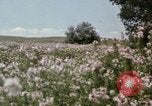 Image Paysage de grandes plaines United States United States USA, 1966, de la seconde 3 séquences d'archives historiques vidéo 65675075460