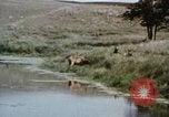 Image Paysage de grandes plaines United States United States USA, 1966, de la seconde 18 séquences d'archives historiques vidéo 65675075460