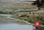 Image Paysage de grandes plaines United States United States USA, 1966, de la seconde 19 séquences d'archives historiques vidéo 65675075460